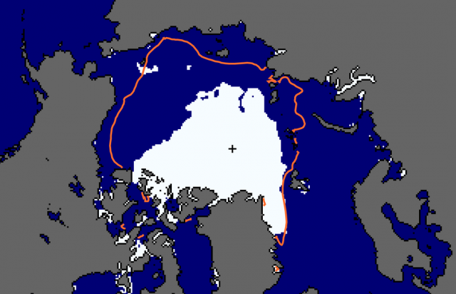 Arctic Ice