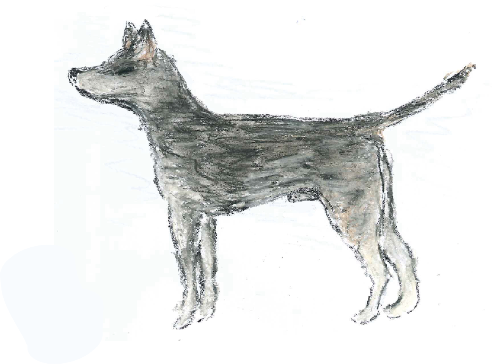 Illustration of a dog