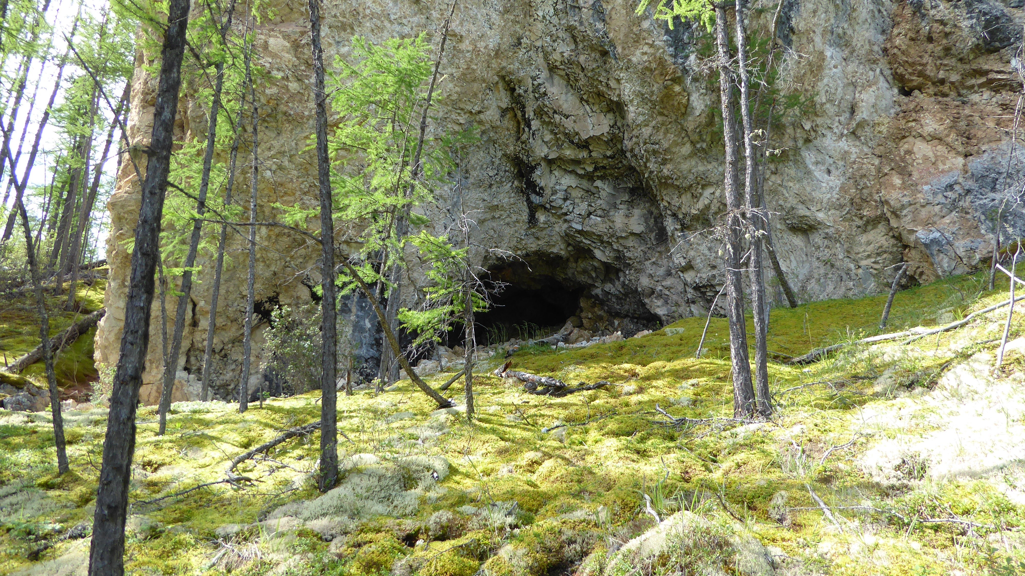 photo of a cave surveyed by Dr. Perreault in northern Mongolia