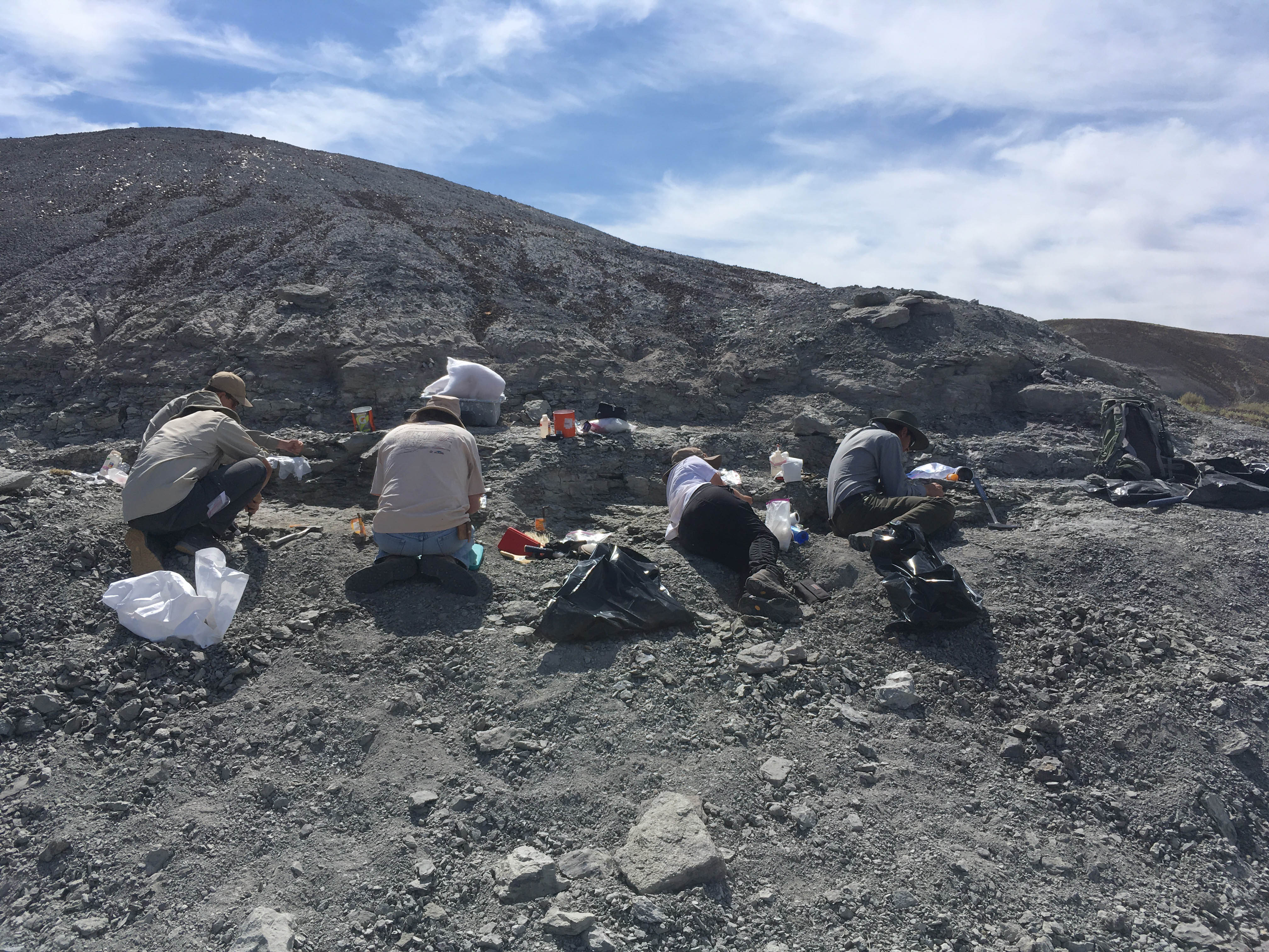 Petrified Forest National Park 2019