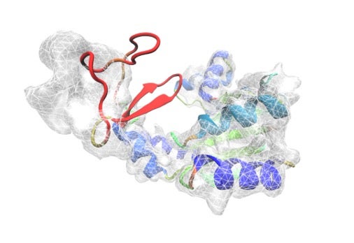 protein structure