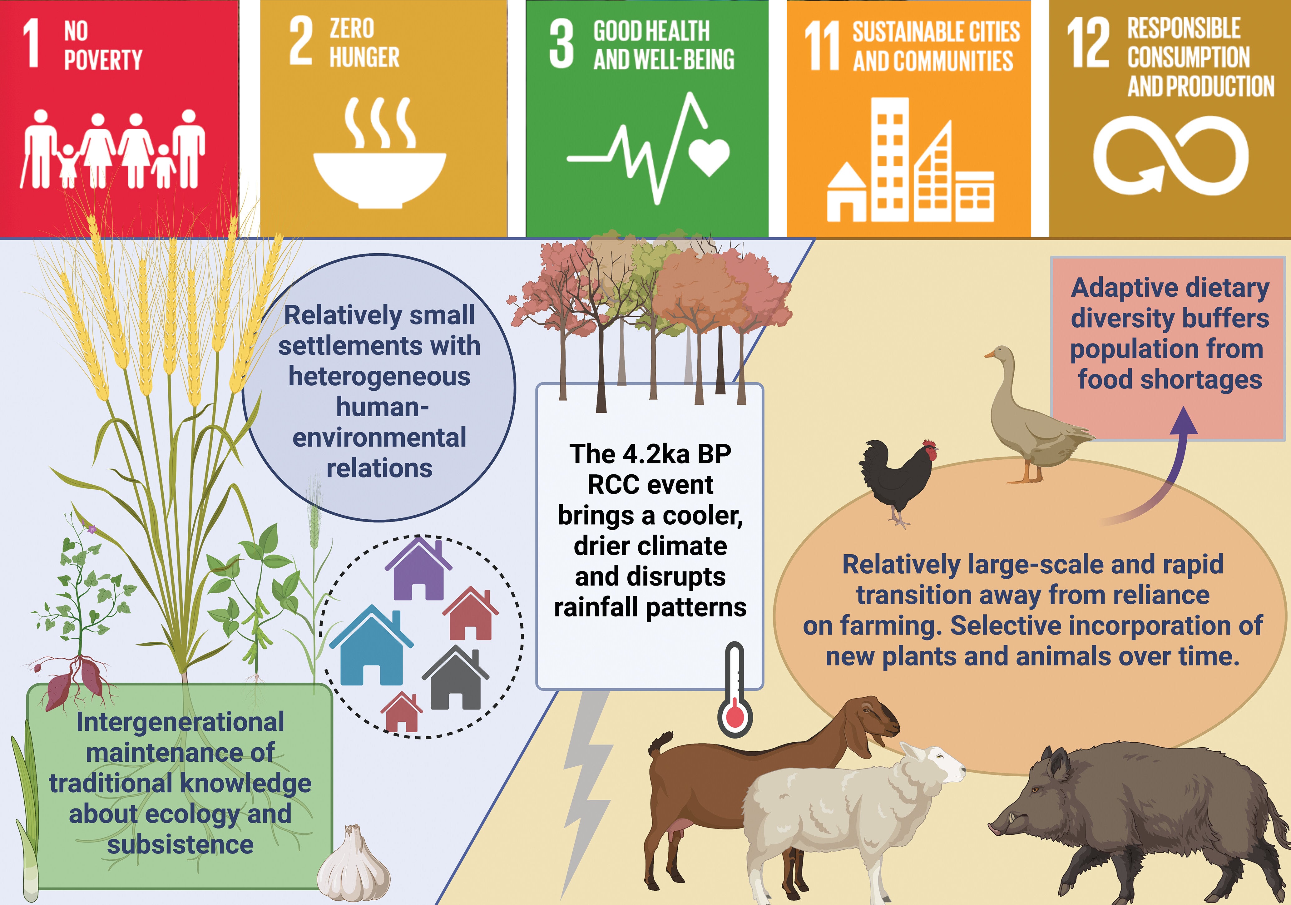 Diverse pathways to resilience relevant to the UN Sustainable Development Goals.