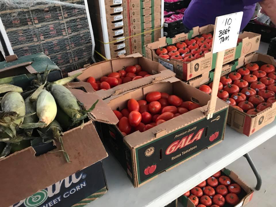 tomatoes and corn on table