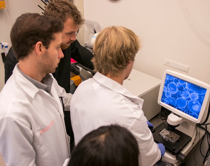 students looking at stem cells on a screen in a lab