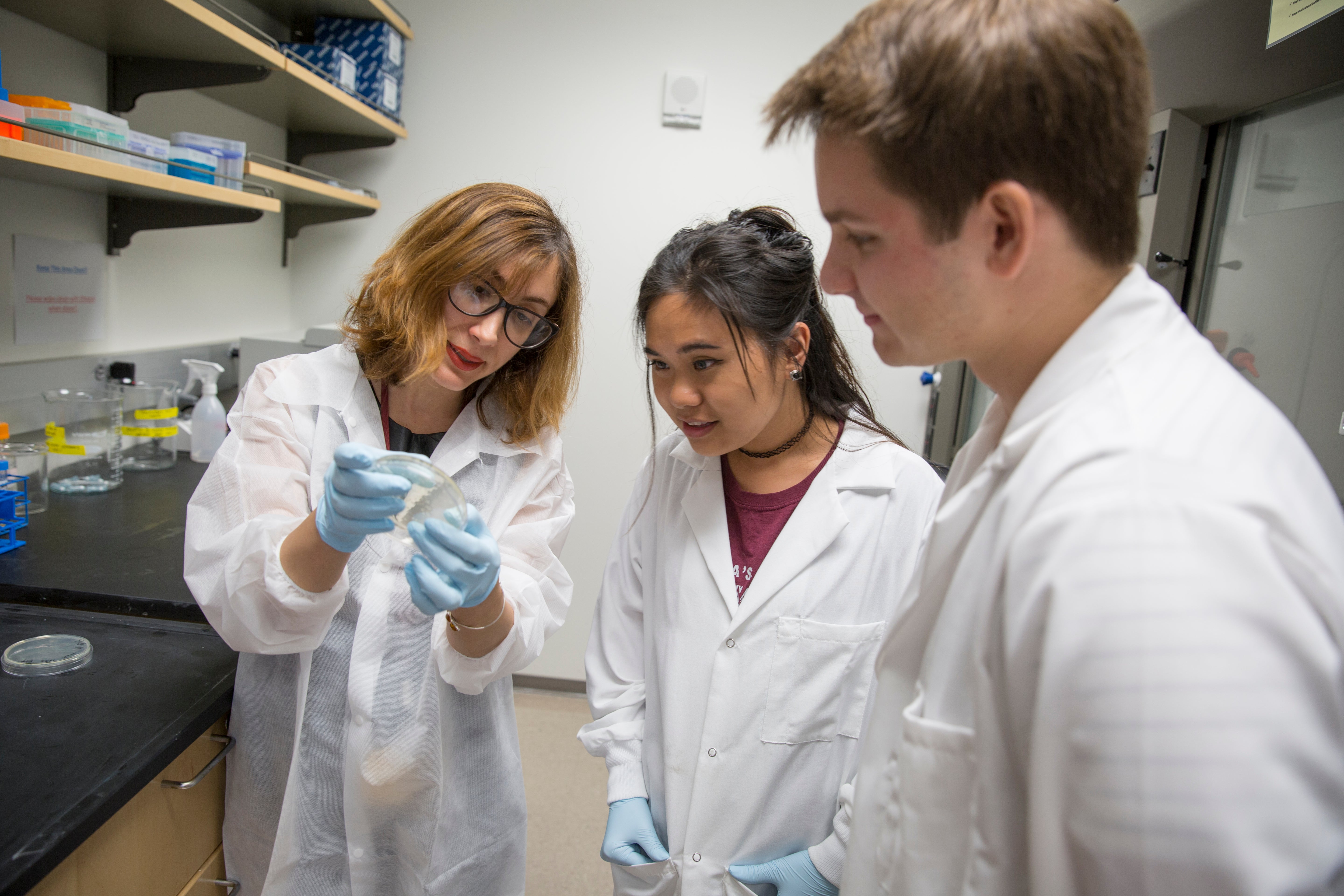 Assistant professor Samira Kiani's lab