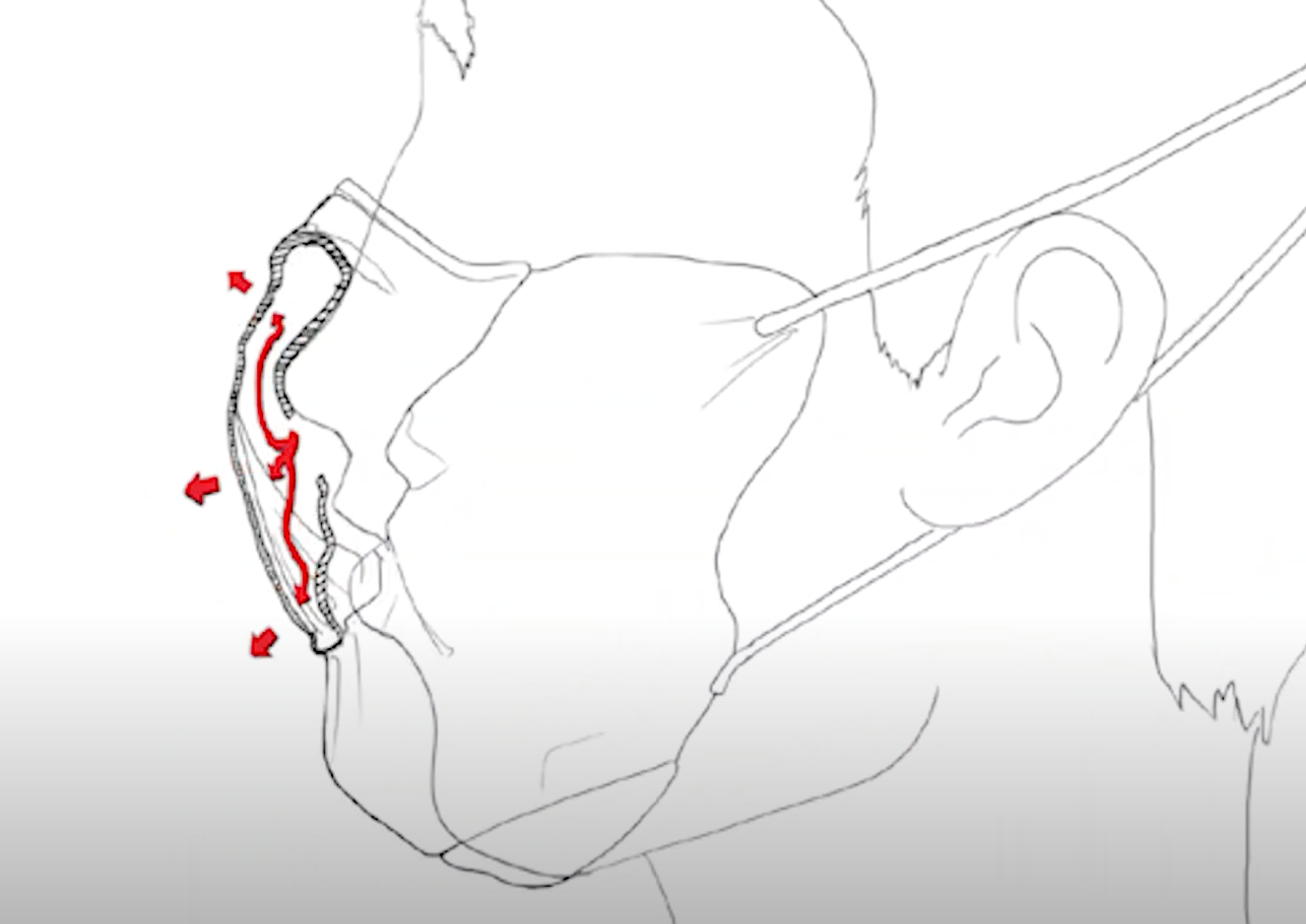 A diagram of how an ASU mask design directs exhaled air away from the top of the mask