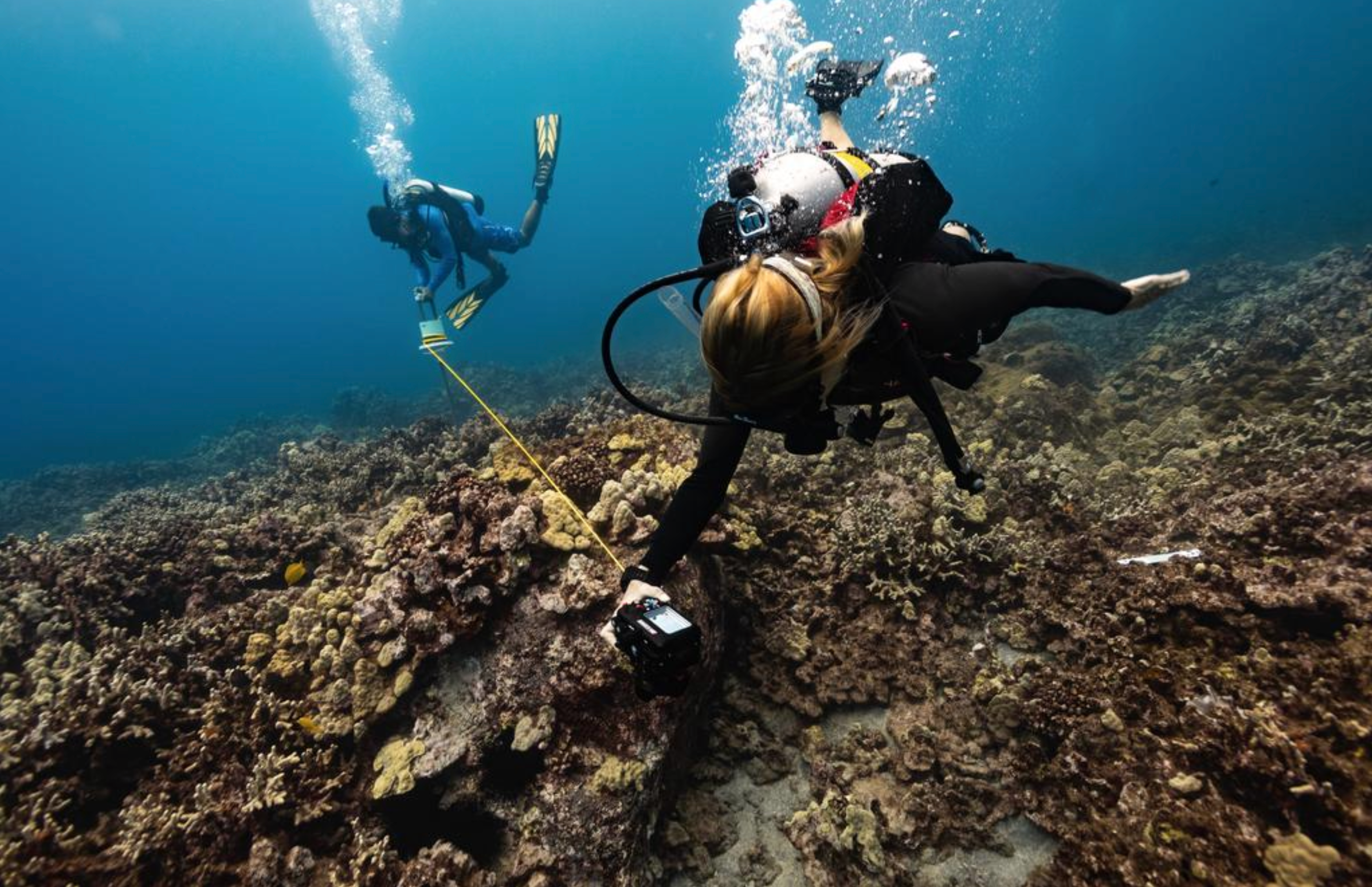 ASU scientists map the Hawaii's coral reefs during a bleaching event