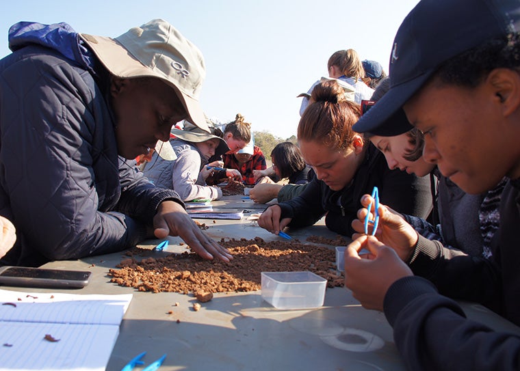 students sorting fossils