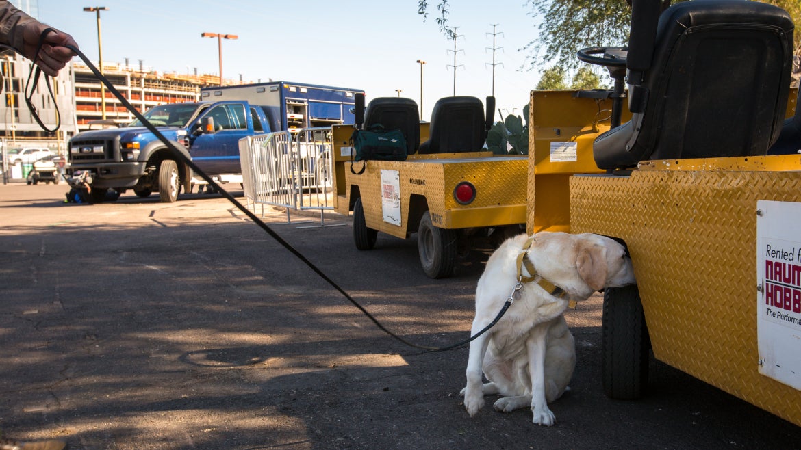 Disney sweeps near Sun Devil Stadium.