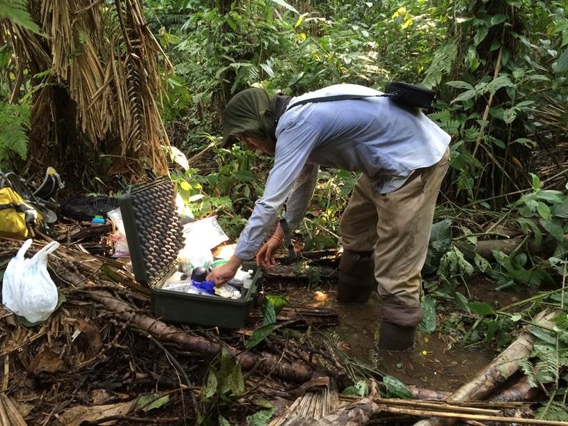 Steffen Buessecker at field measurements in a tropical peatland.