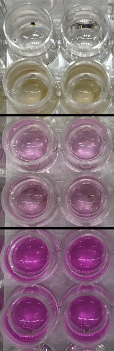 Nitrite geochemical assay with artificial early Earth seawater.