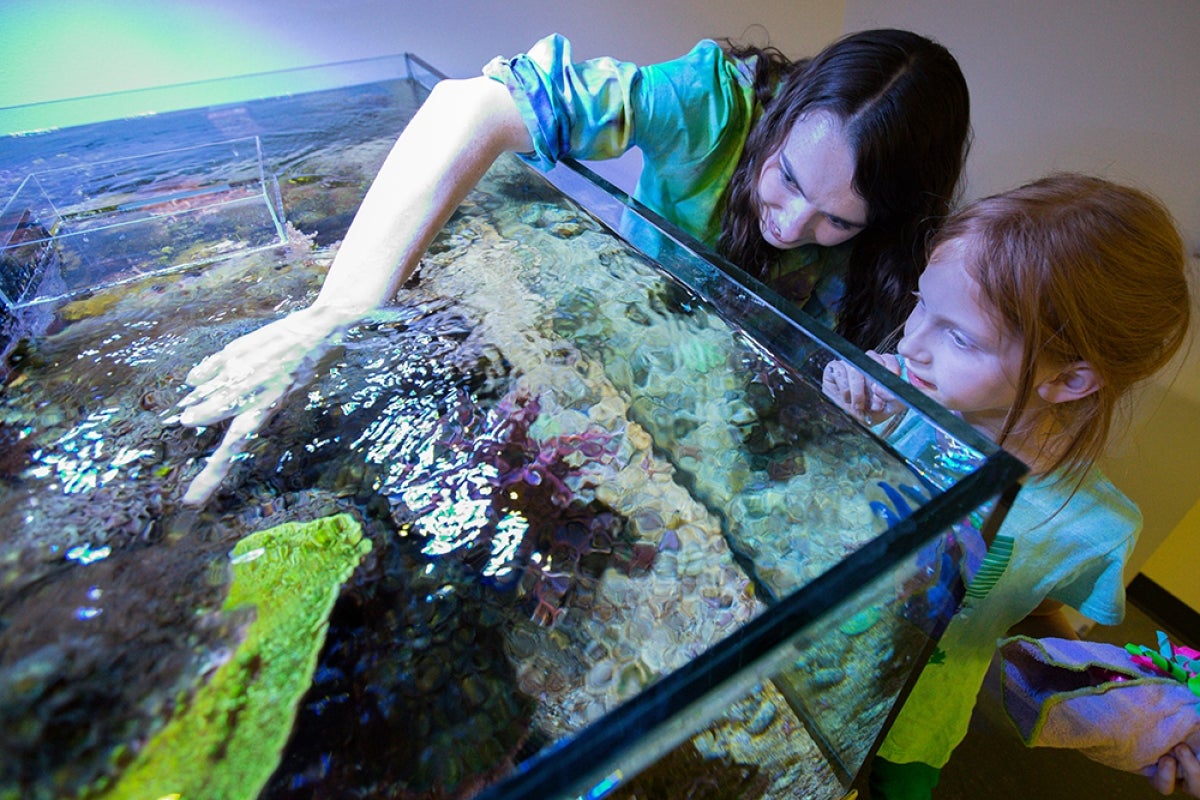 ASU Night of the Open Door Looking at a coral reef