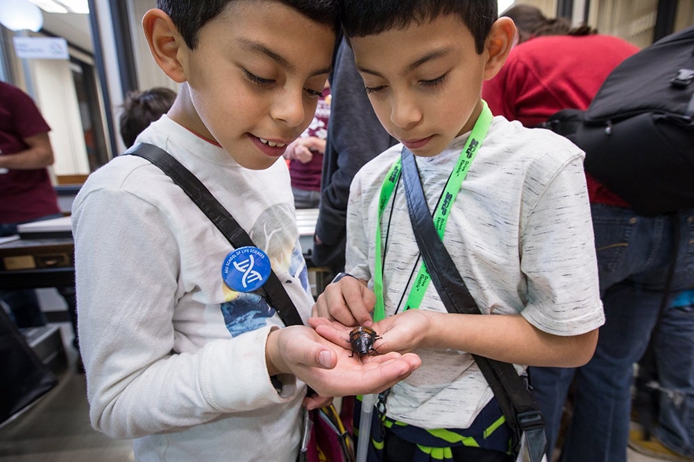 Twins check out the cockroach