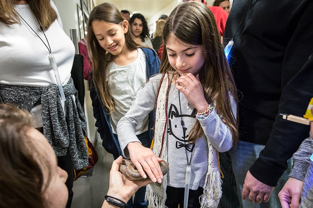 Touching a snake