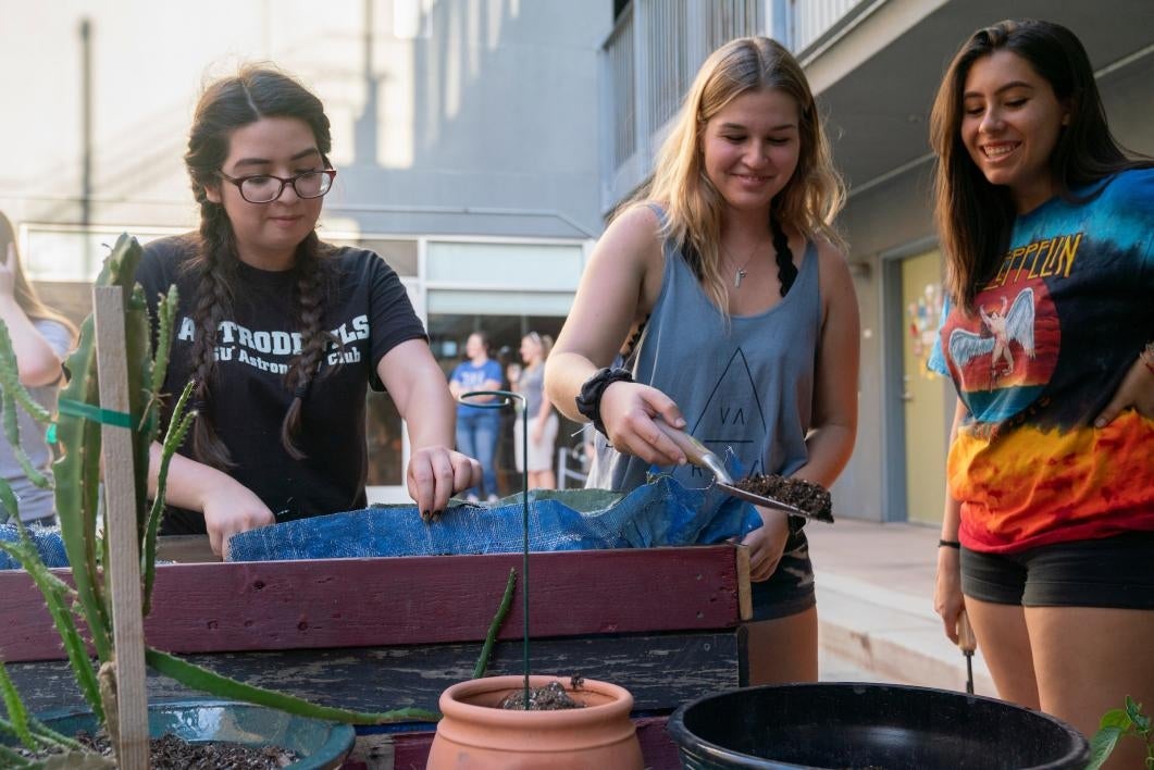 Three women planting succulents in a container