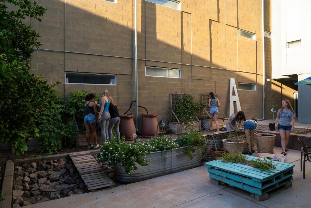 Seven women planting vegetables in a raised garden