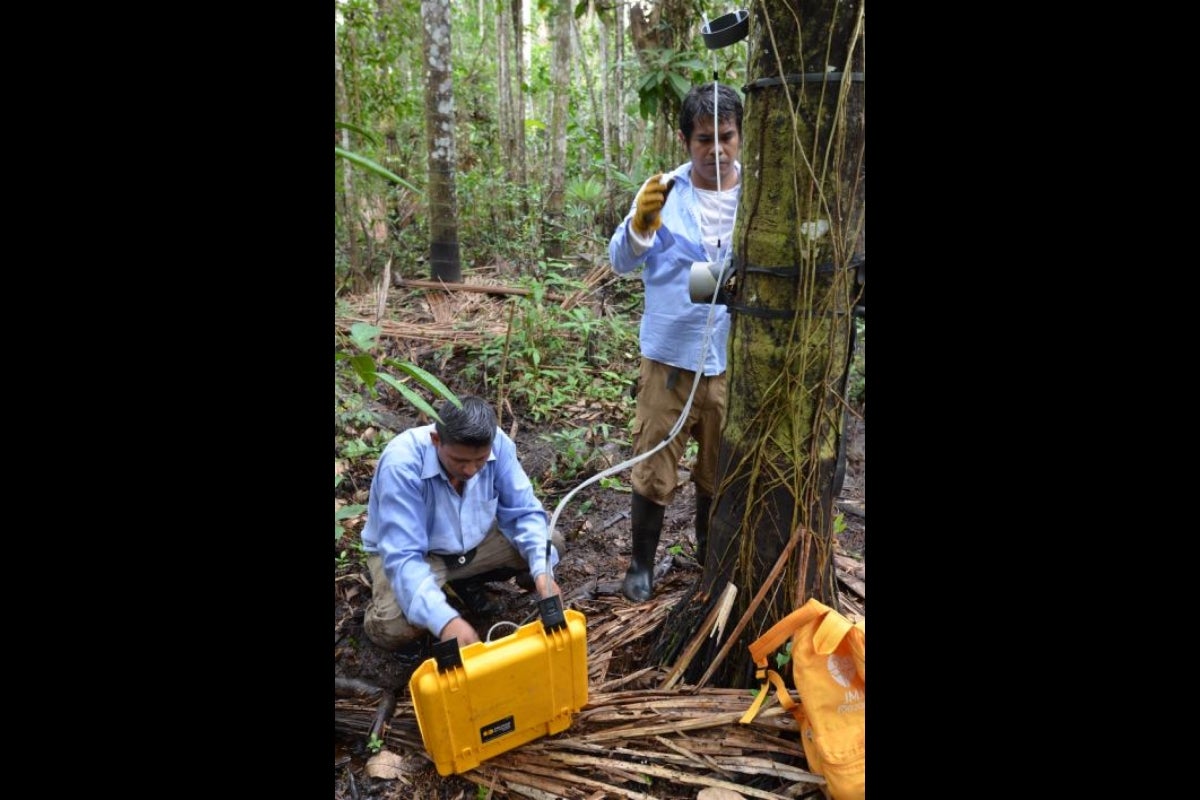 Cadillo-Quiroz and an international research team measure greenhouse gasses