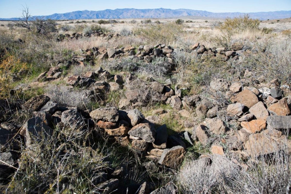 remnants of masonry in Perry Mesa