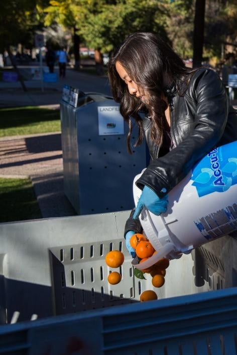 asu campus harvest orange harvest