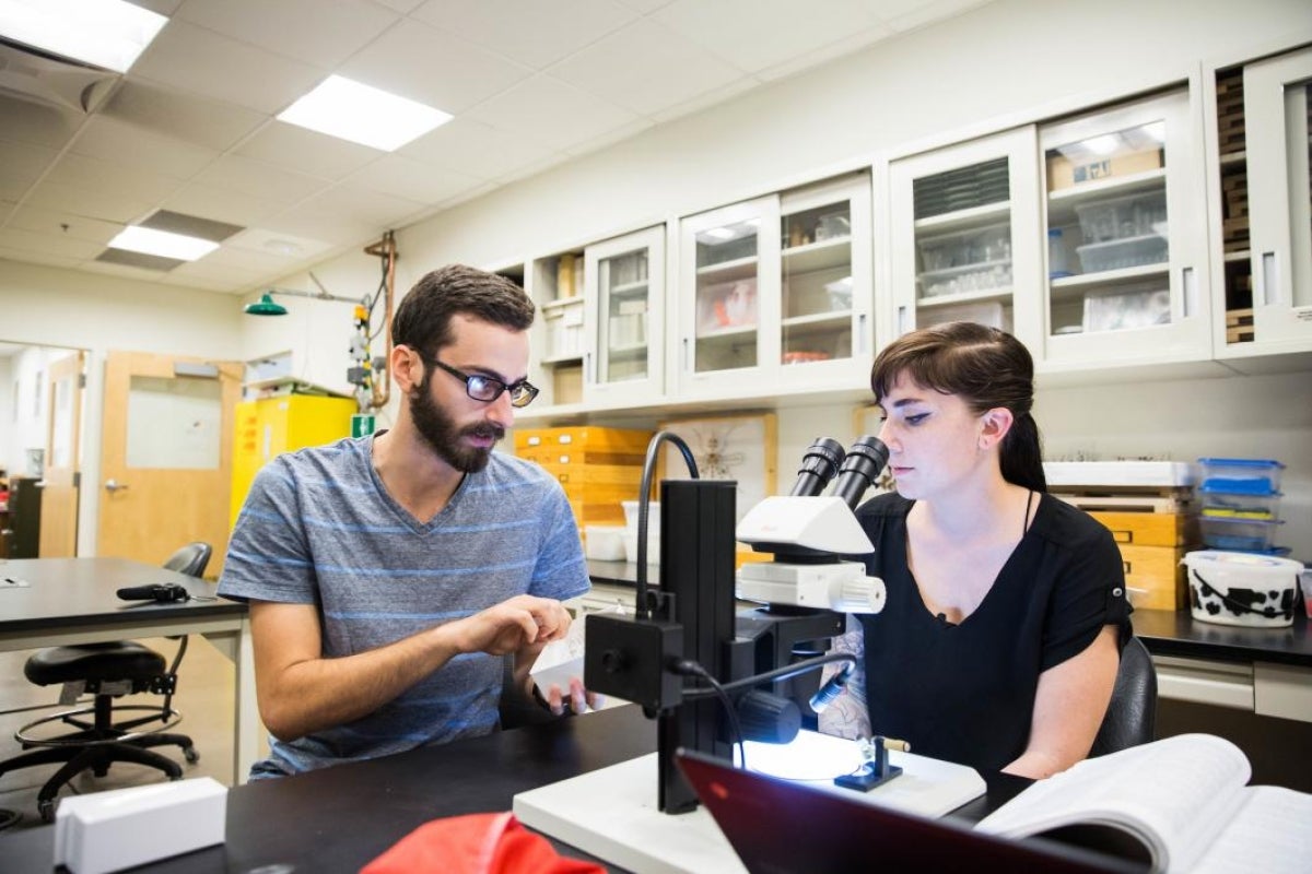 Researchers in a lab