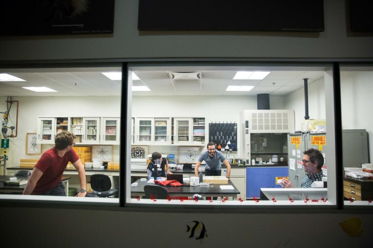 Researchers in a lab