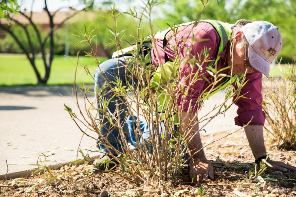 man checking irrigation