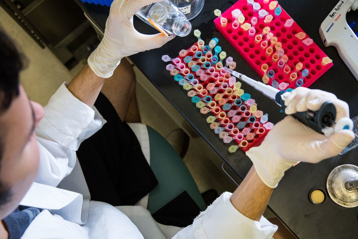 Overhead shot of a scientist filling tubes with a liquid in a lab