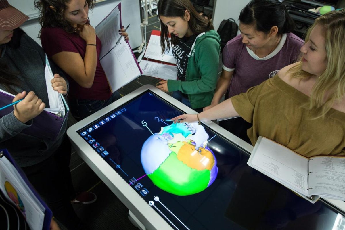 people looking at digital skull on Anatomage table