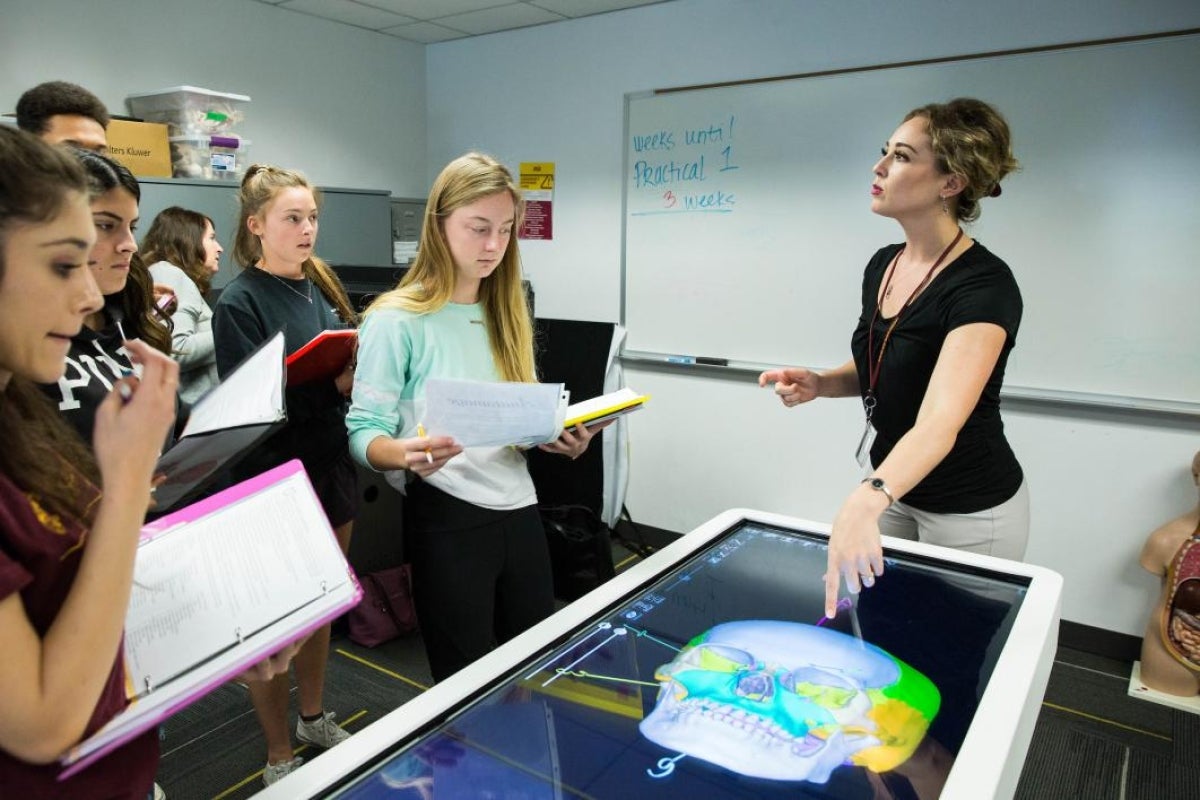 instructor showing students 3-D digital skull