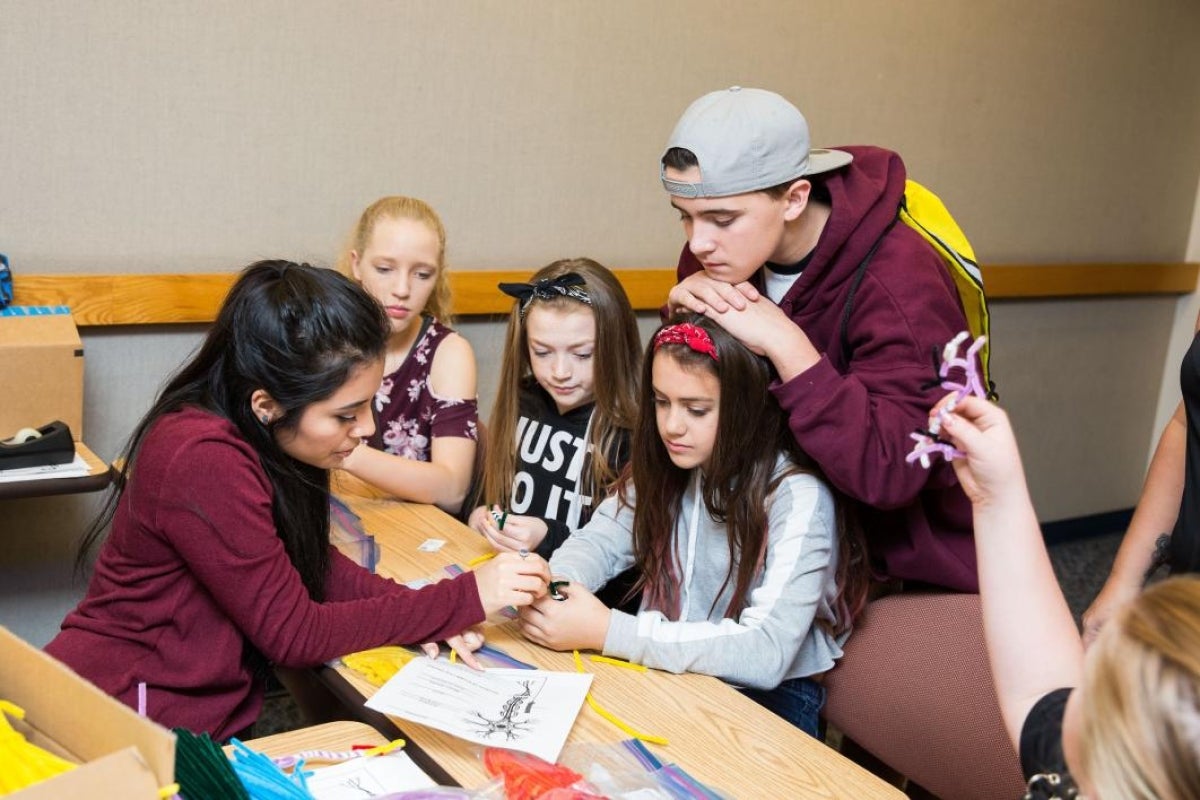 people making neuron shapes out of pipe cleaners