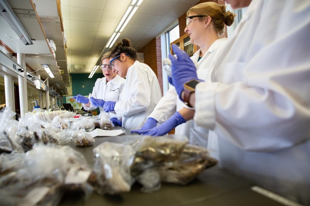 photo of Knudson and researchers looking through samples