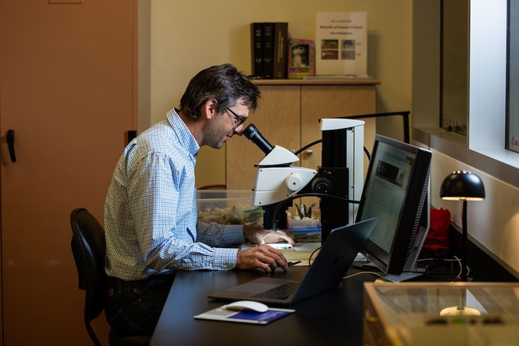 Professor Nico Franz is the curator of the Hasbrouck Insect Collection at ASU