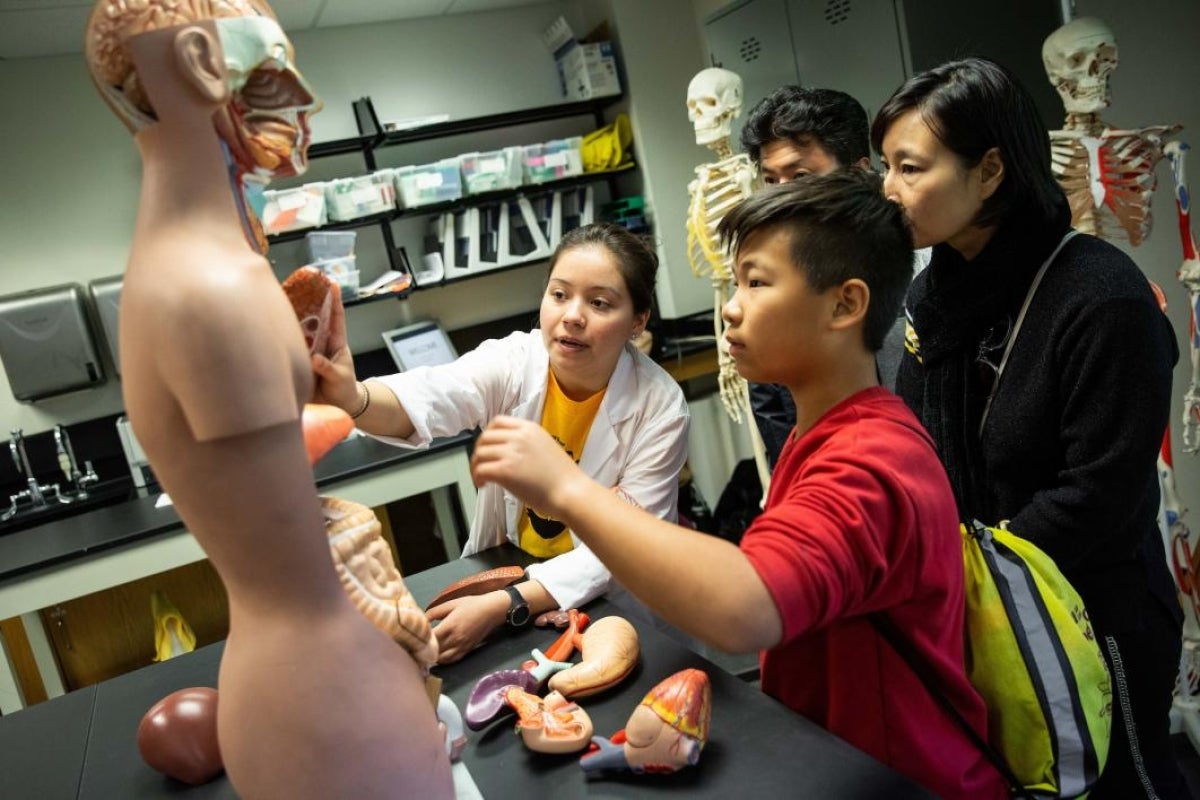 boy and family look at anatomy mannikin