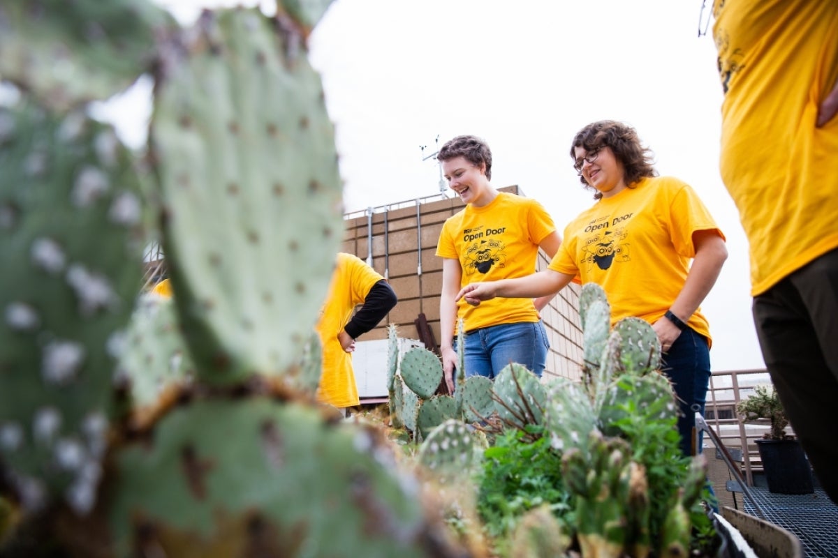 two women looking at cacti in garden