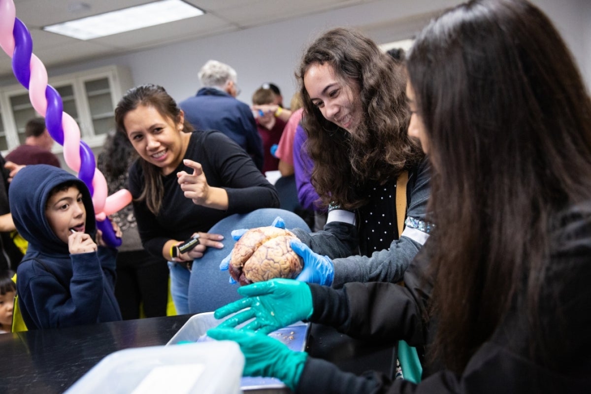 group of girls holding human brain