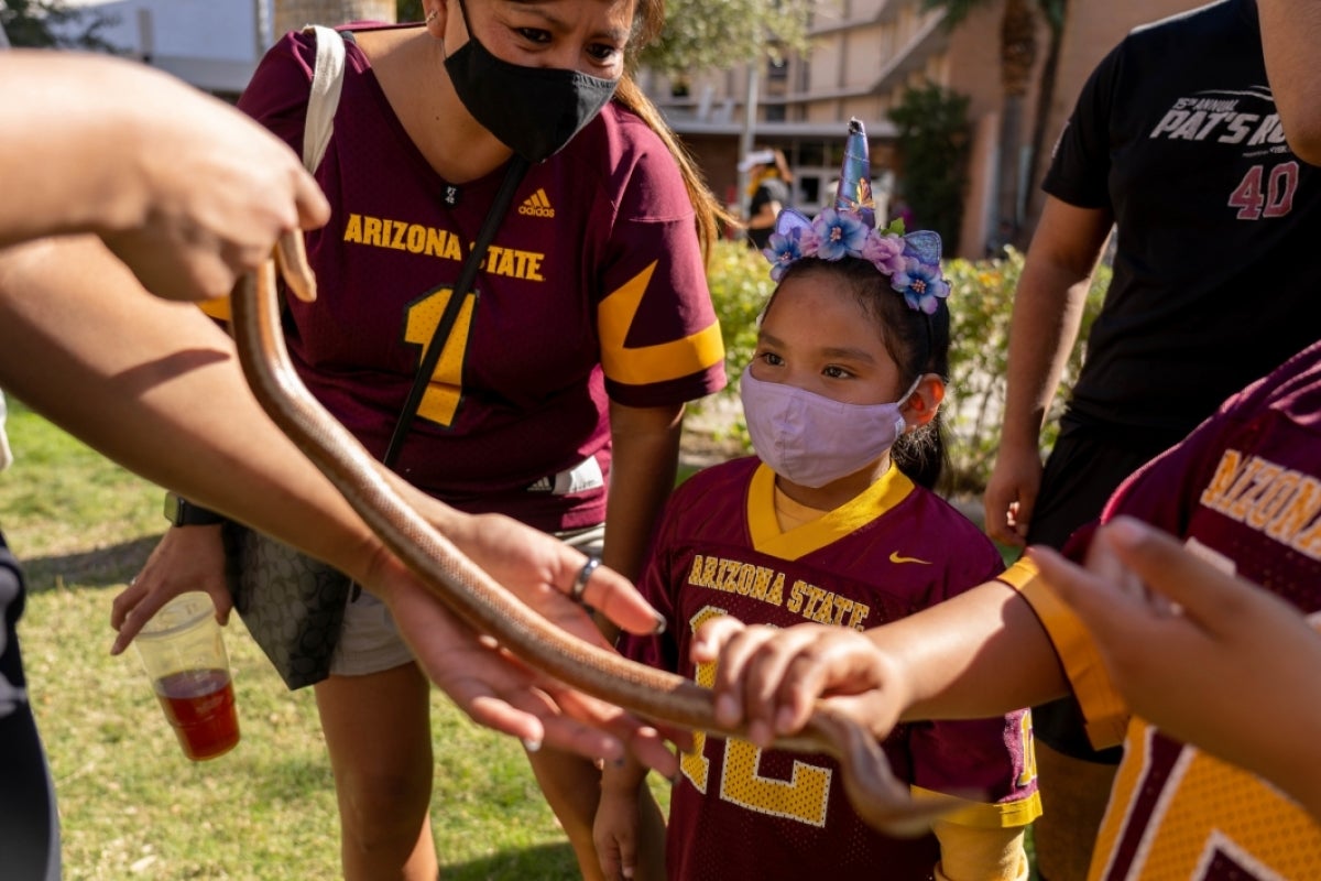 A little girl wearing a unicorn headband watches as someone shows her a snake