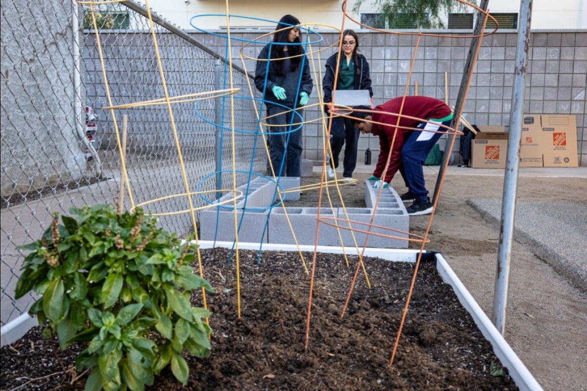 Students building a block wall for a raised garden