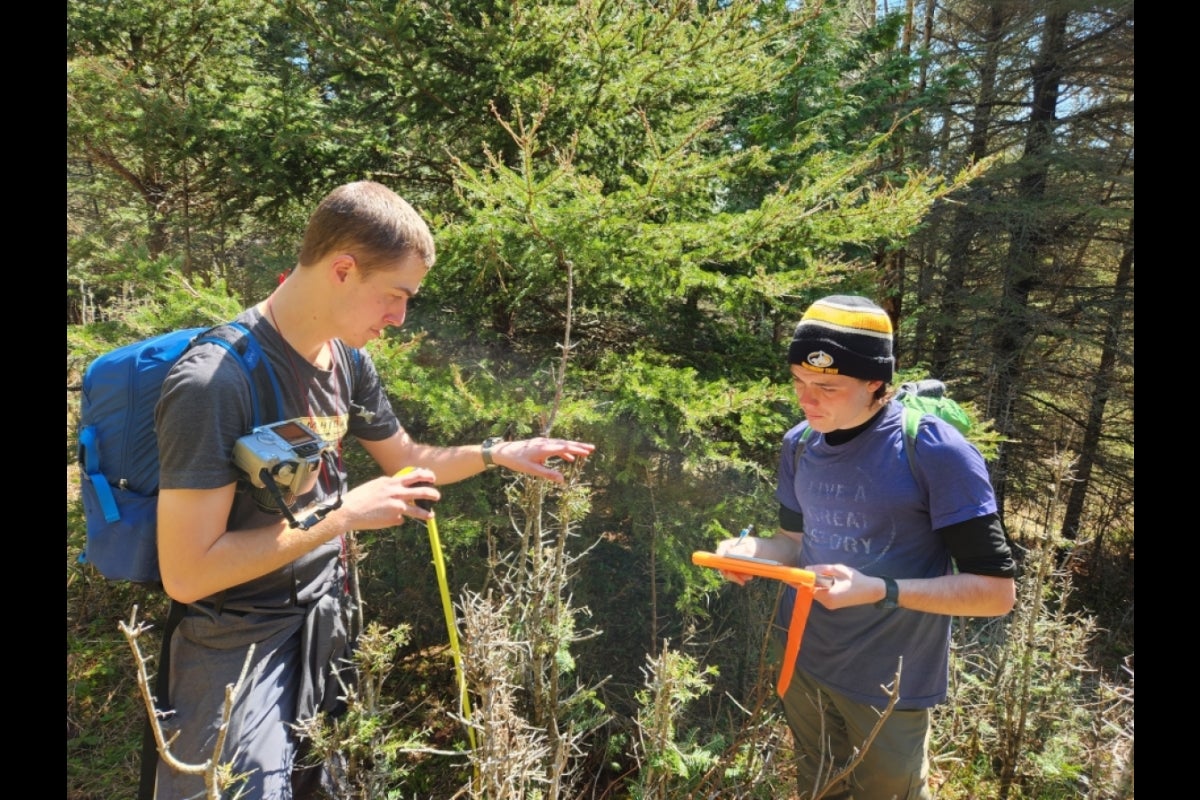 Two students holding measuring equipment up to foliage.