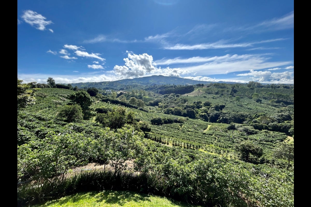 Landscape view of Hacienda Alsacia, with rolling green hills, trees and a mountain in the background.