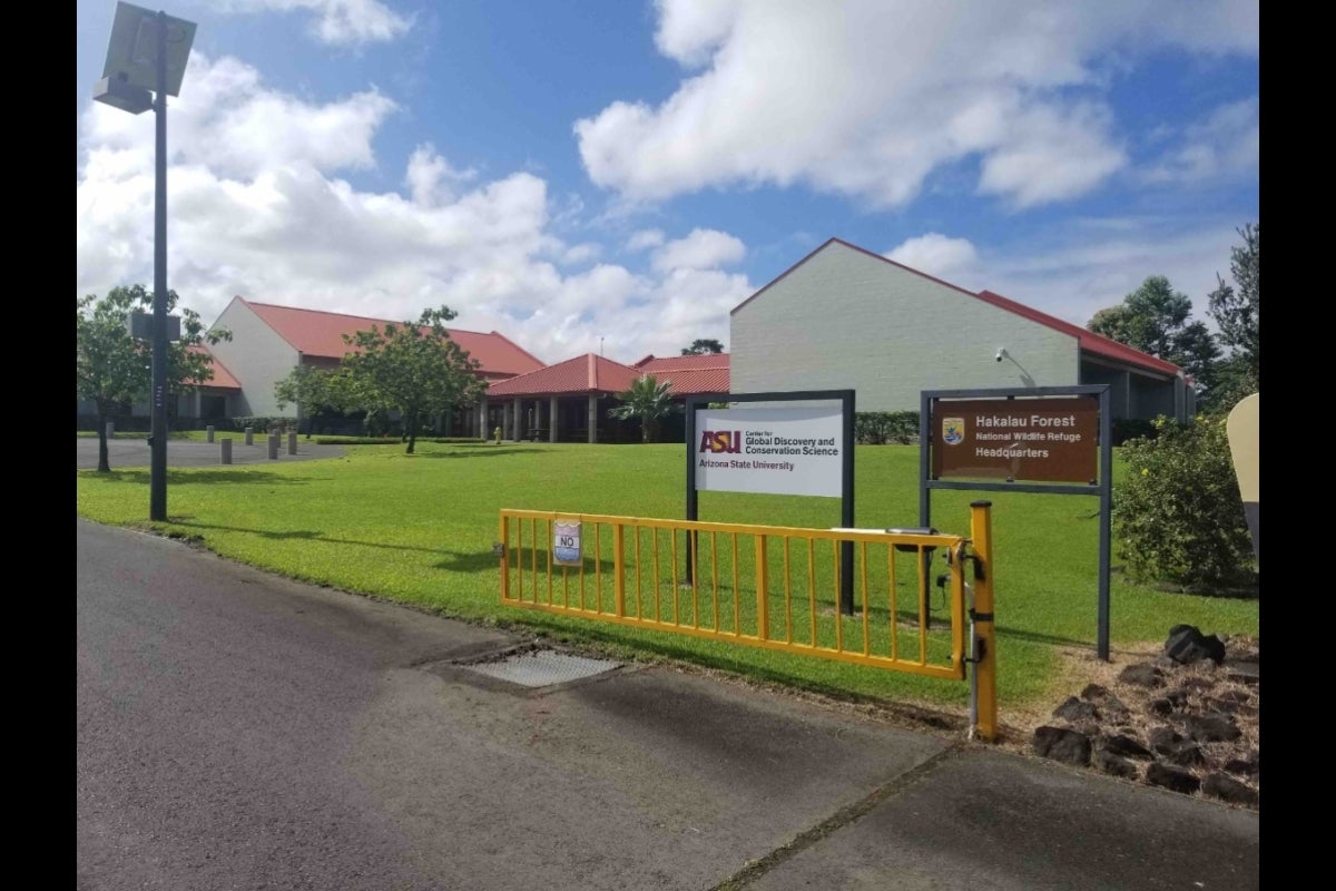 Exterior of a campus with several buildings.