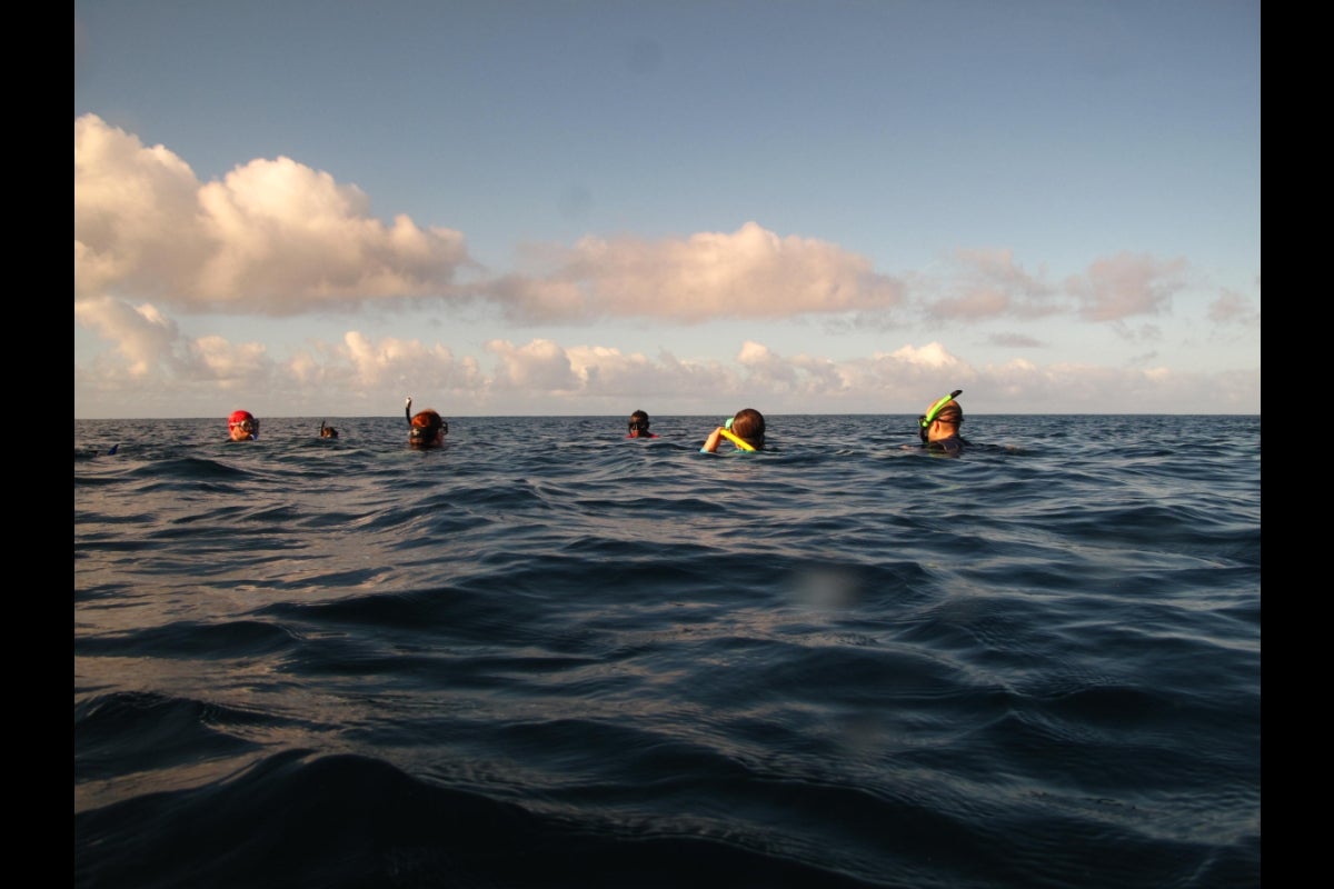 Several people wearing snorkels while submerged up to their necks in the sea.