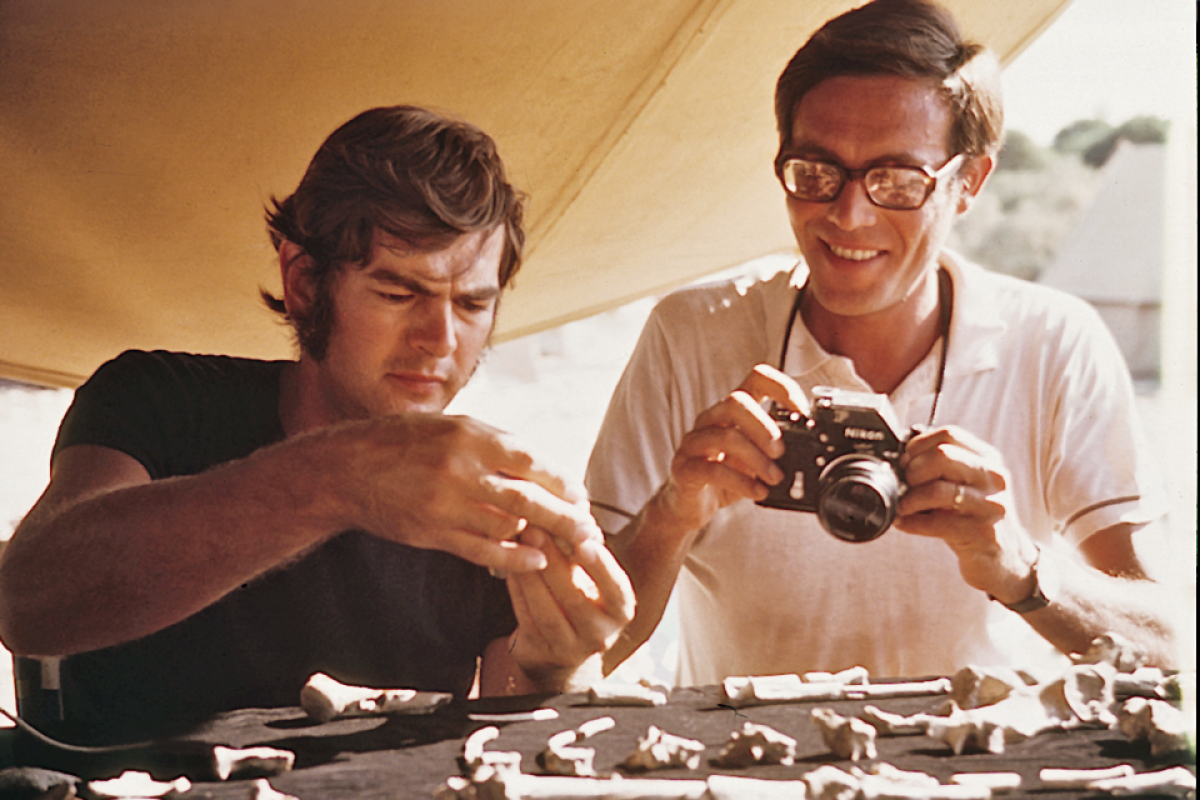 1974 photo of a man looking at bone fragments on a table in the field while a man next to him takes photos