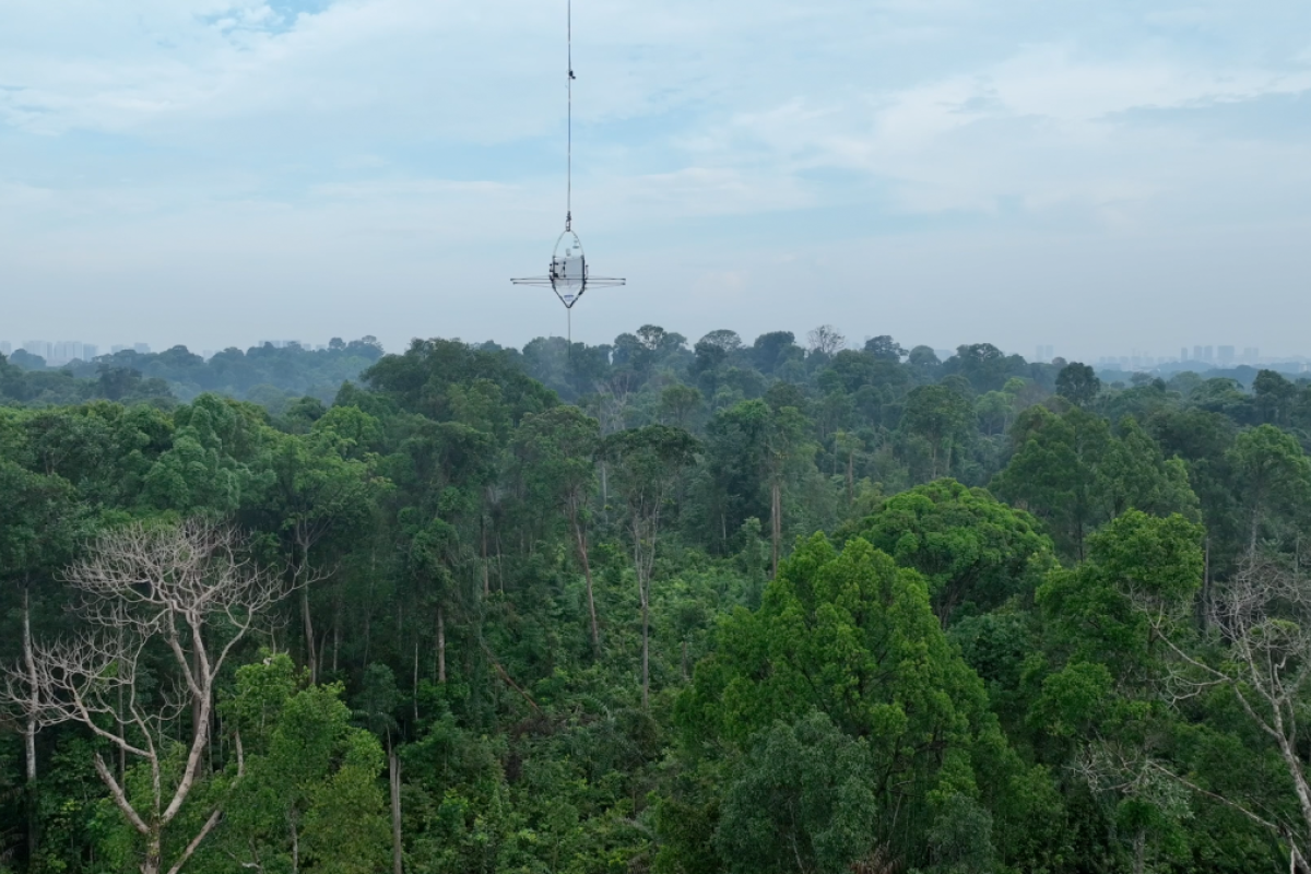 drone over the rainforest