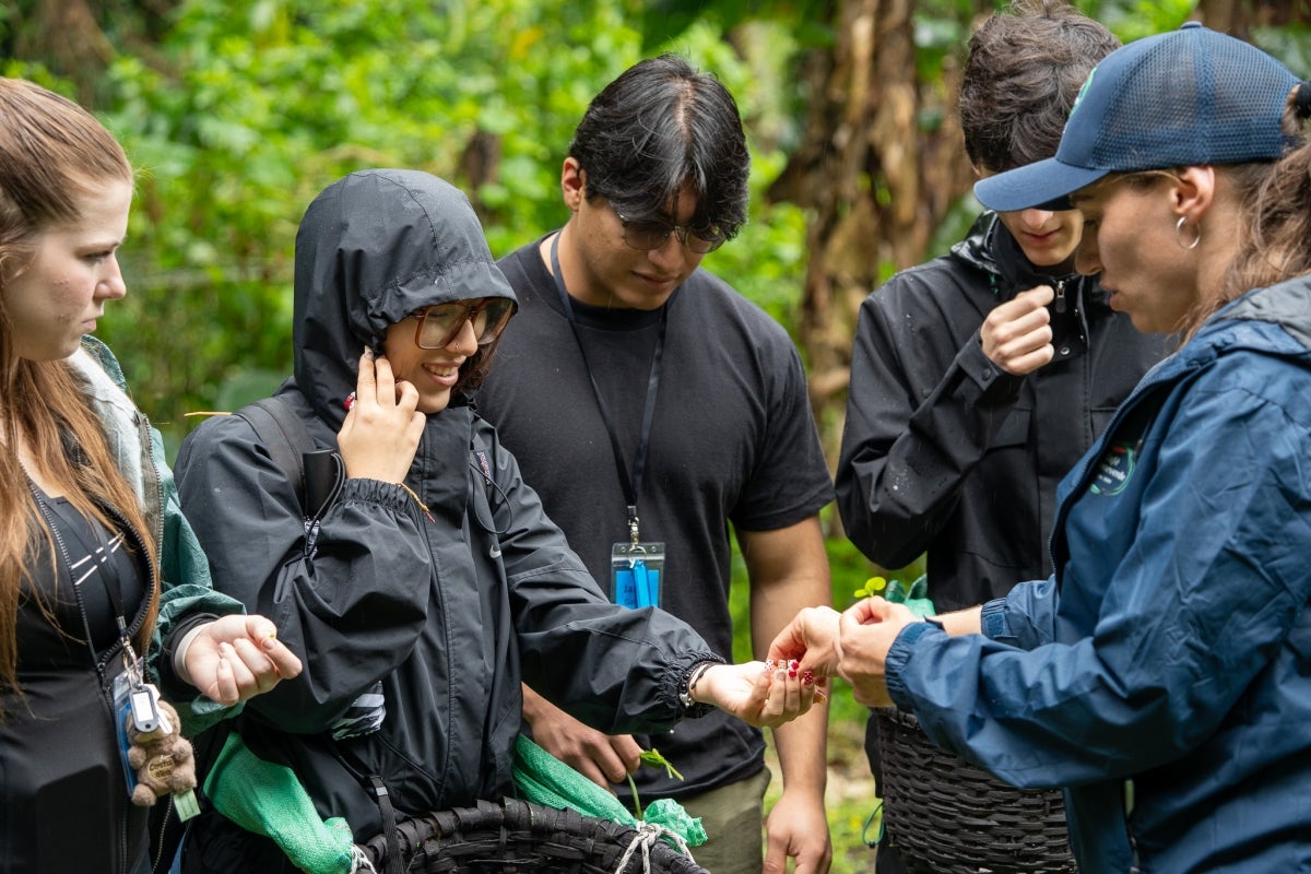 Owner of Stuckey's farm hands a student coffee berries to hold