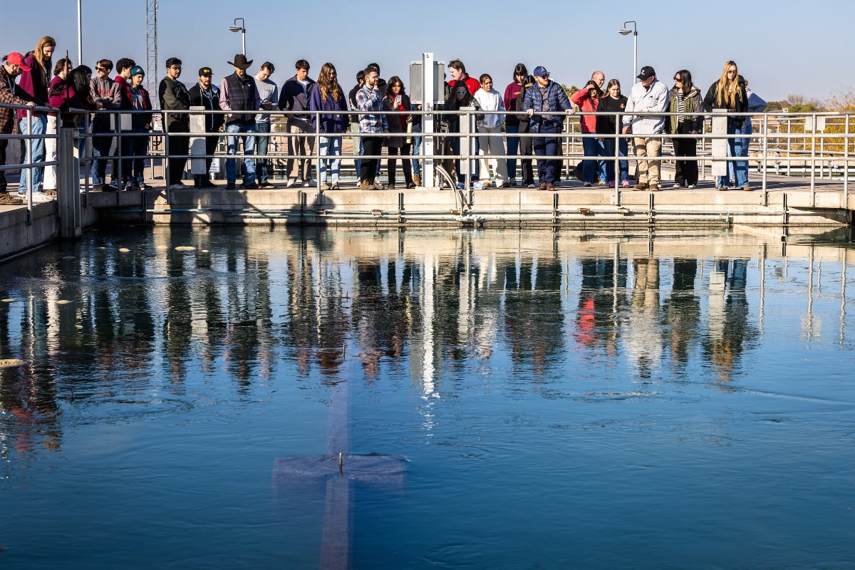 A large group of people gathered by an industrial body of water