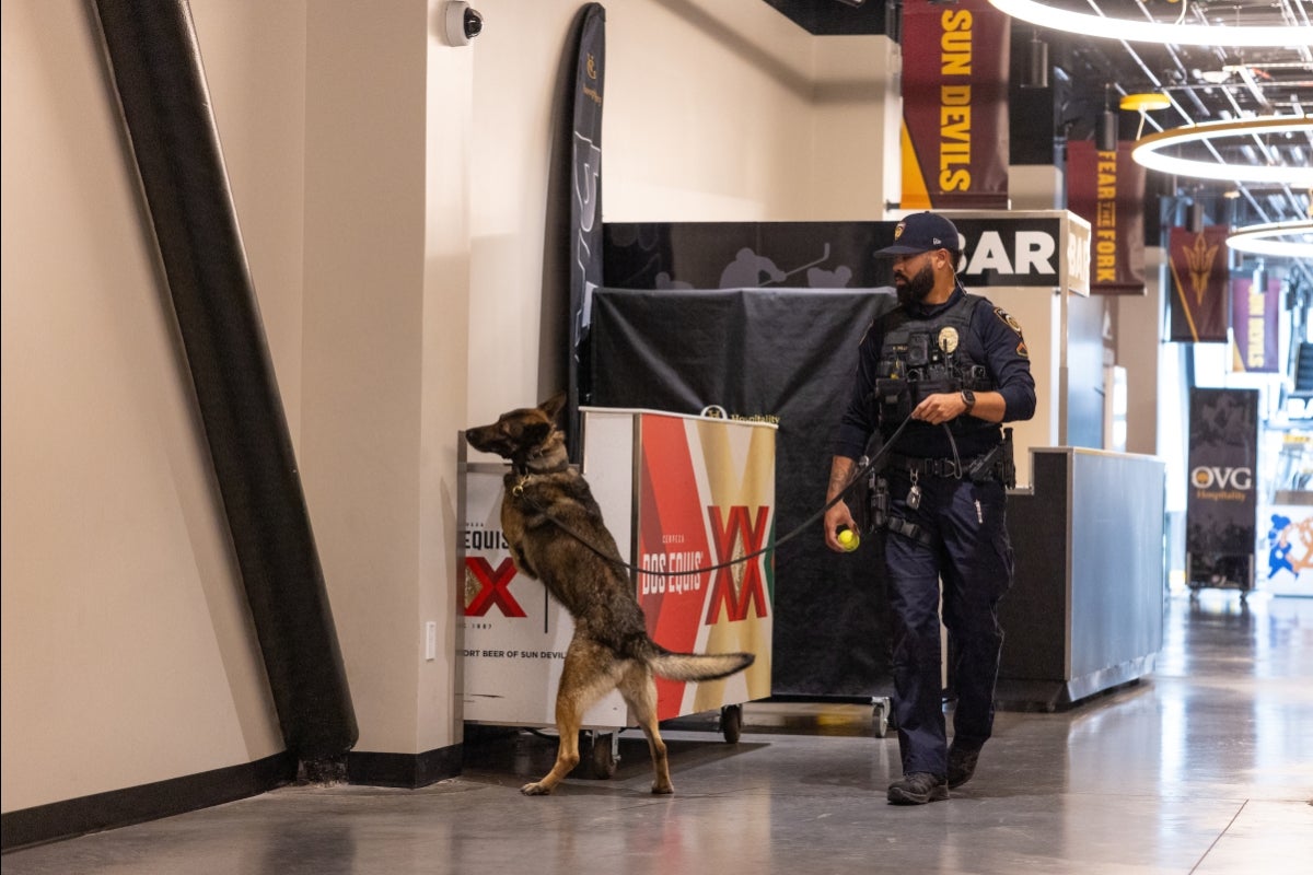 Man in a police uniform holds a leash attached to a dog standing on its hind legs and sniffing a wall.