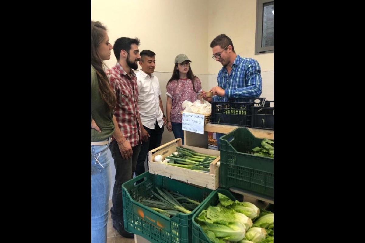 ASU students with organic farmer, Vittorio, in a town outside of San Severino, Italy