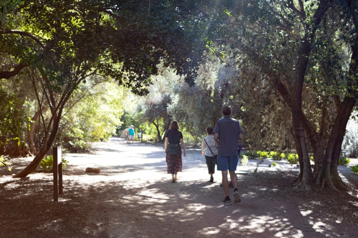 ASU graduate student walks with donor along path.