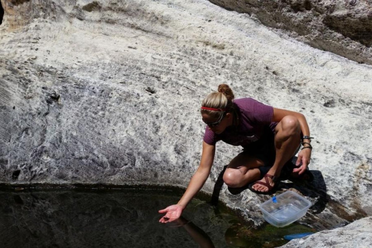 woman setting frog in pond