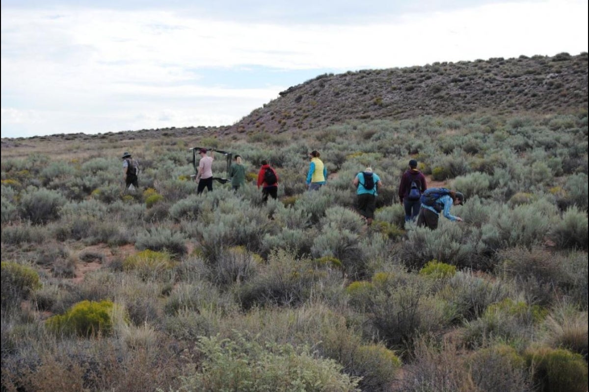 people hiking in desert